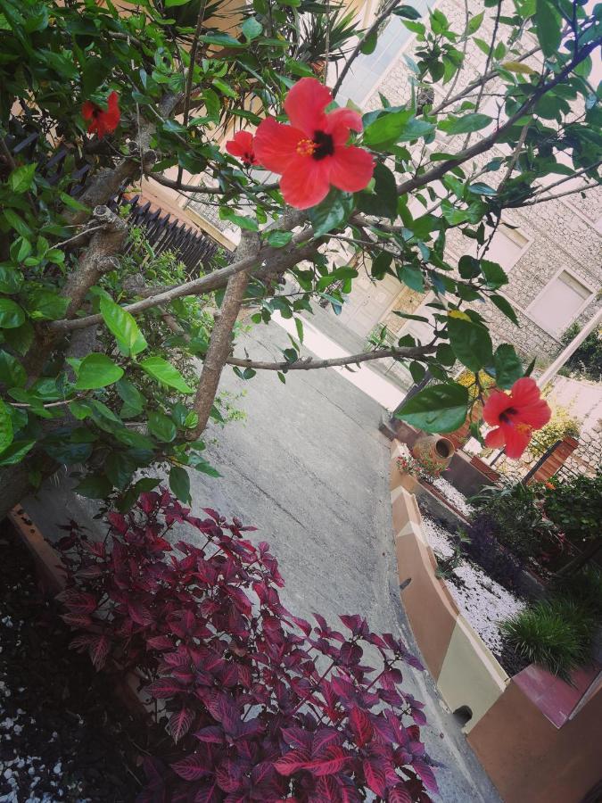 Anto'S Apartment - ジャルディーニ・ナクソス エクステリア 写真